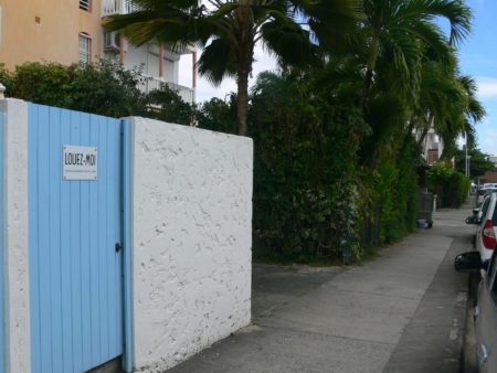 Vue portillon depuis la rue